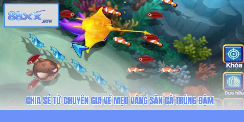 Chia sẻ từ chuyên gia về mẹo vàng săn cá trúng đậm 