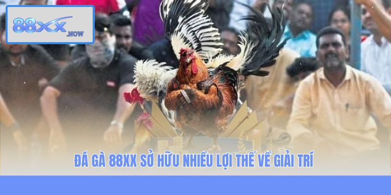 Đá gà 88XX sở hữu nhiều lợi thế về giải trí